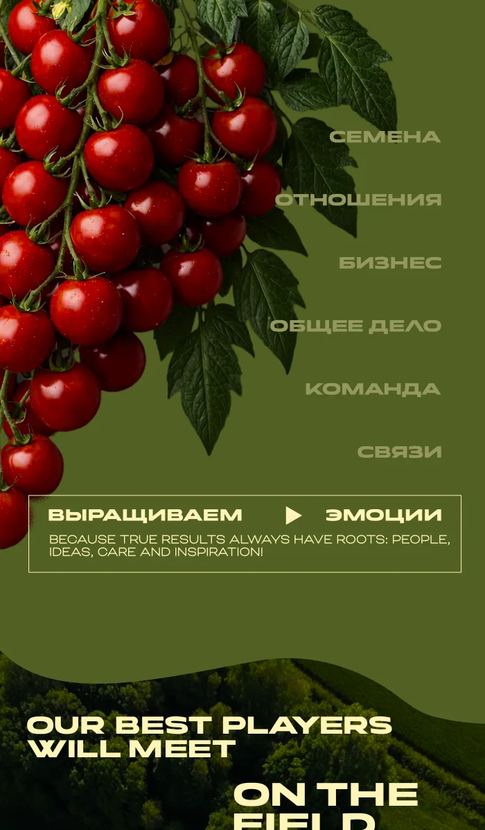 Семко — пригласительные